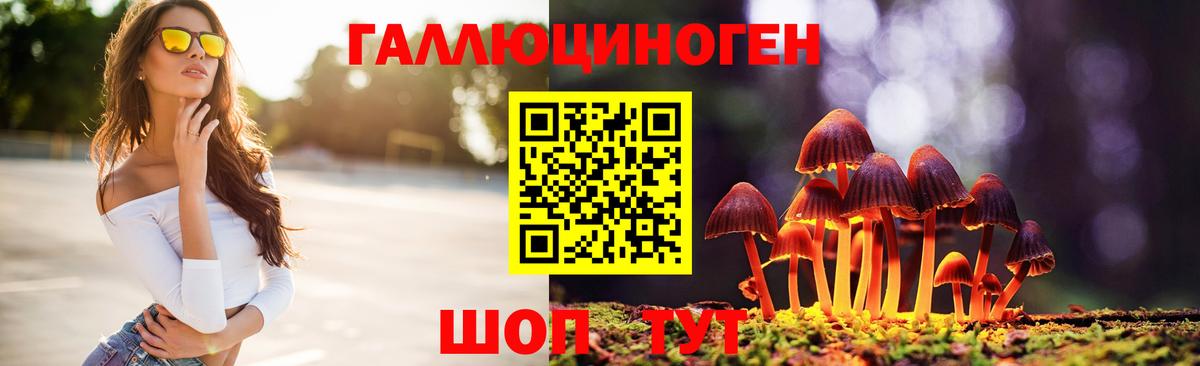Псилоцибиновые грибы Psilocybe Советский